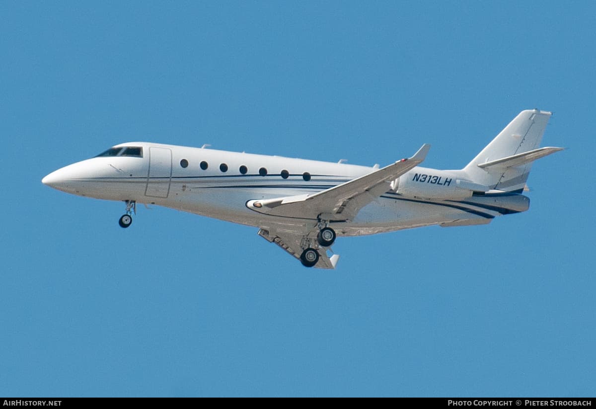 N313LH