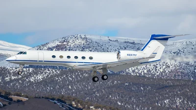 Gallery item 3
